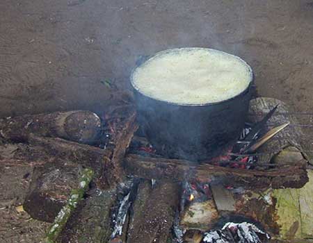 Ayahuasca cooking